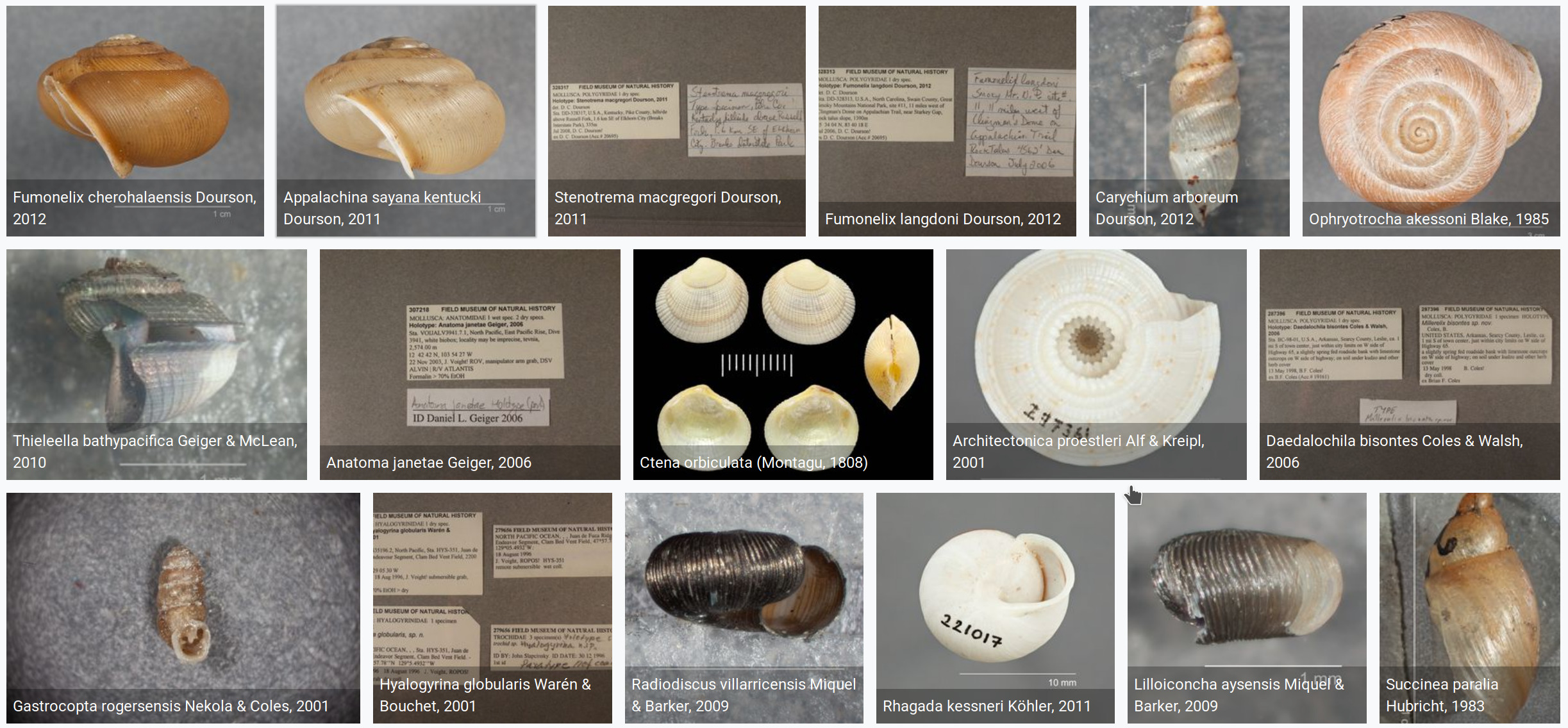 Gallery labels